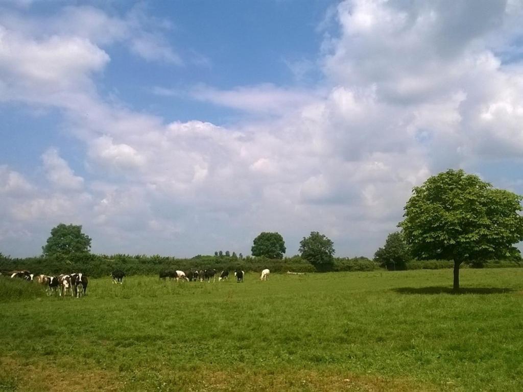 Battens Farm Cottages B&B Yatton Keynell Esterno foto